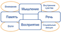 Скорочтение для подростков. По скайпу