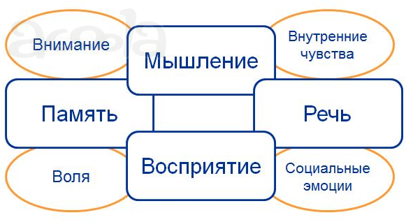 Скорочтение для подростков. По скайпу