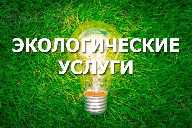 Компания Риалфорс. Экологическая документация и услуги